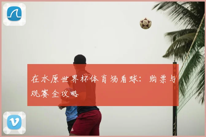 在水原世界杯体育场看球:购票与观赛全攻略